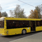 Автобусы МАЗ 203 (2 дверных проема)
